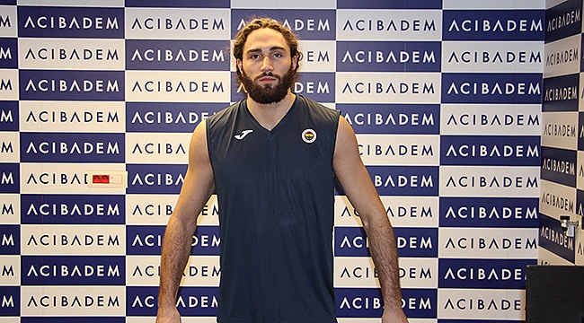 Nikola Meljanac, Fenerbahçe'de