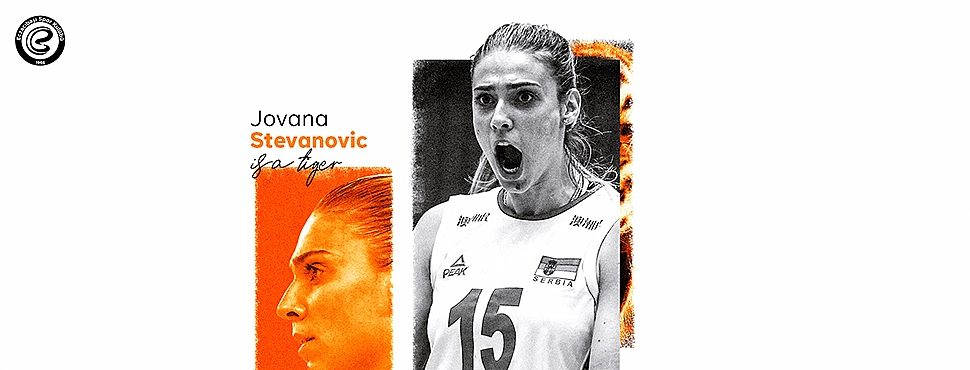 Jovana Stevanović, Eczacıbaşı Dynavit’te